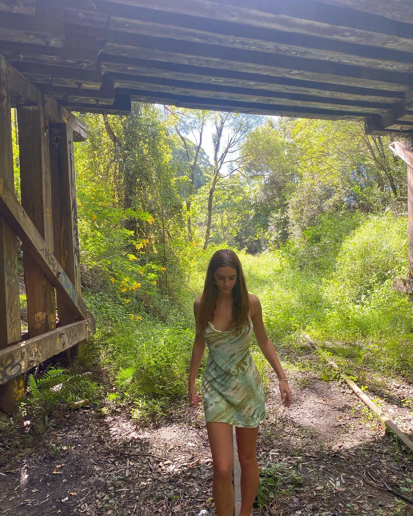 🌲🌲🌲