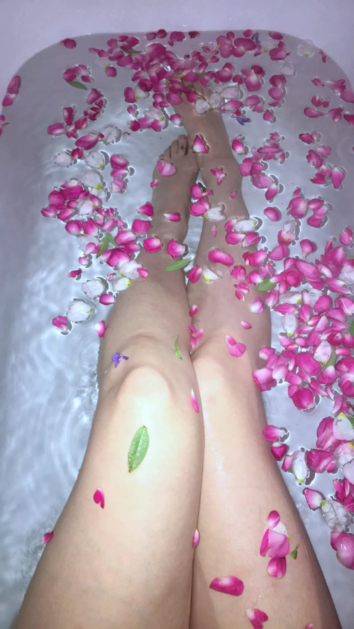 🌹💕