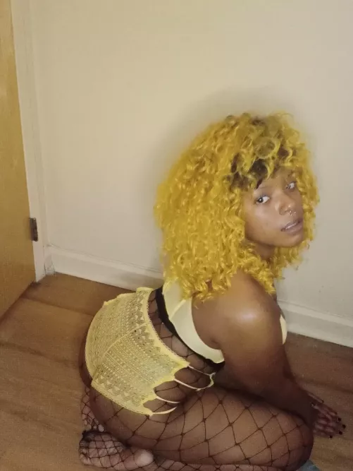 💛🤎💛🤎💛🤎