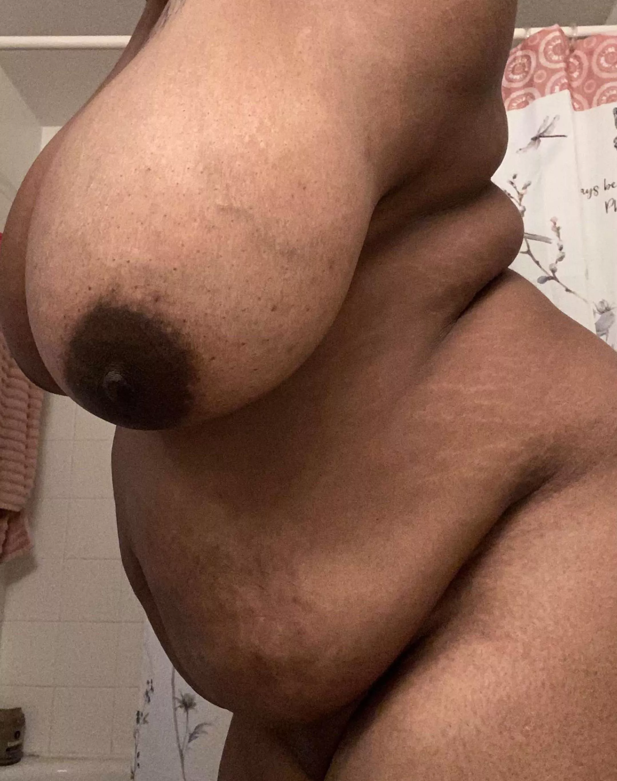🥛 🐄 🐖
