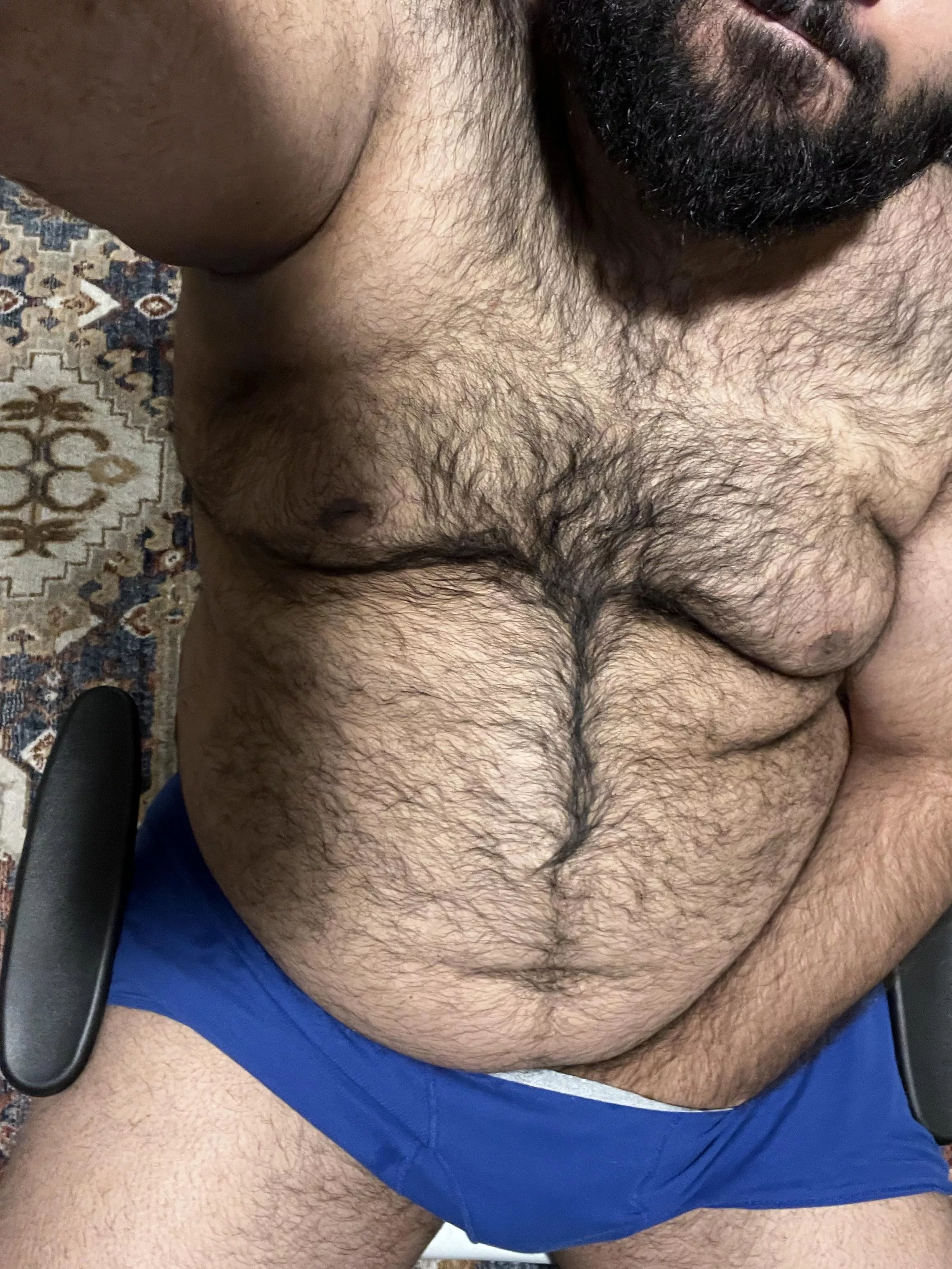 🐻