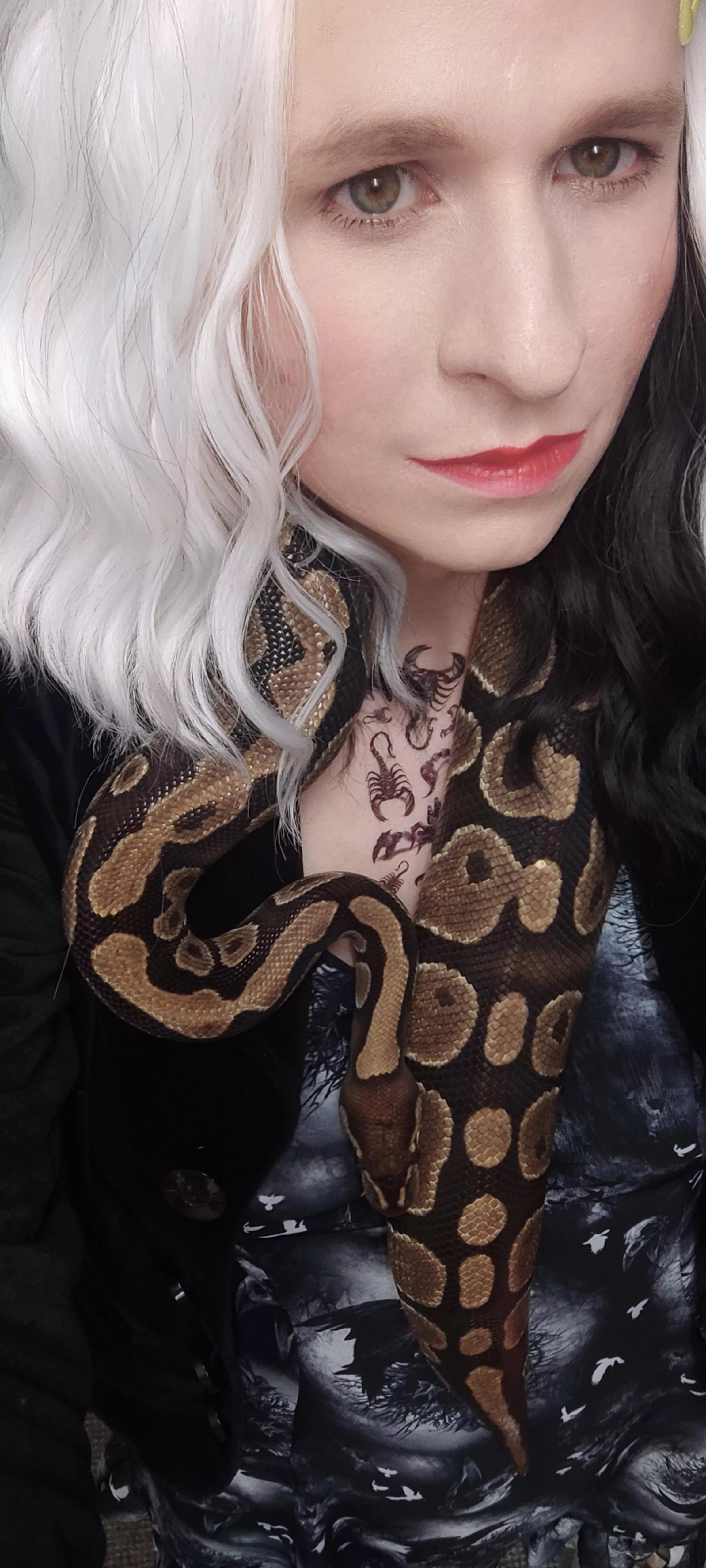 🦖🦖🐍🐍