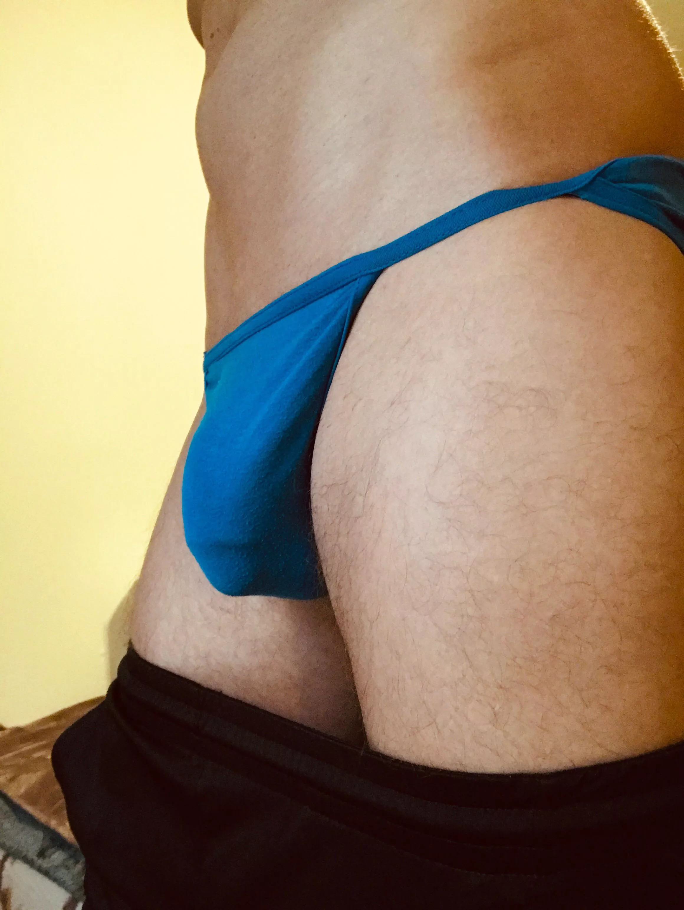 🐬
