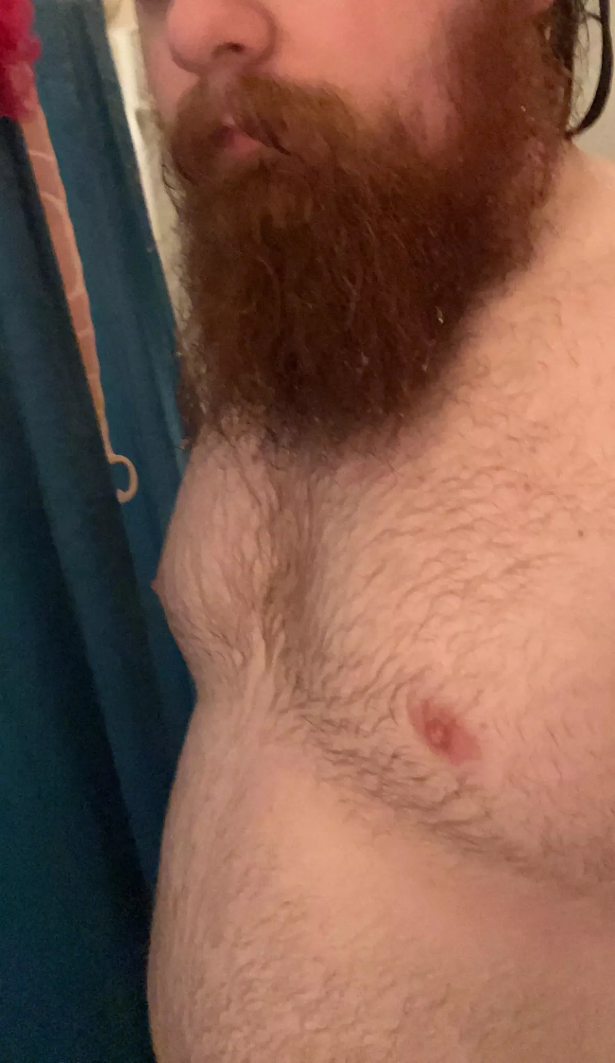 🐻🚿