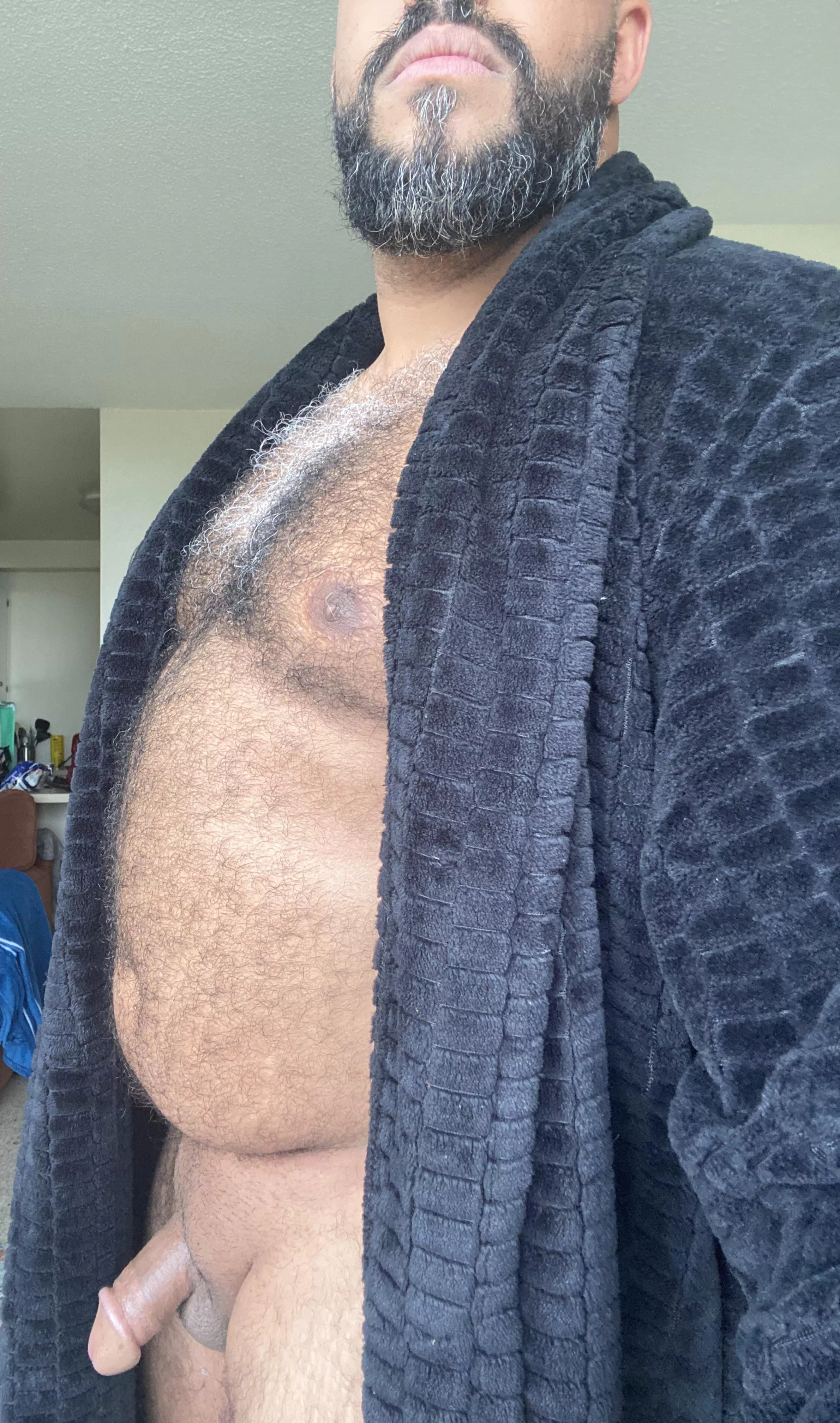 🐻
