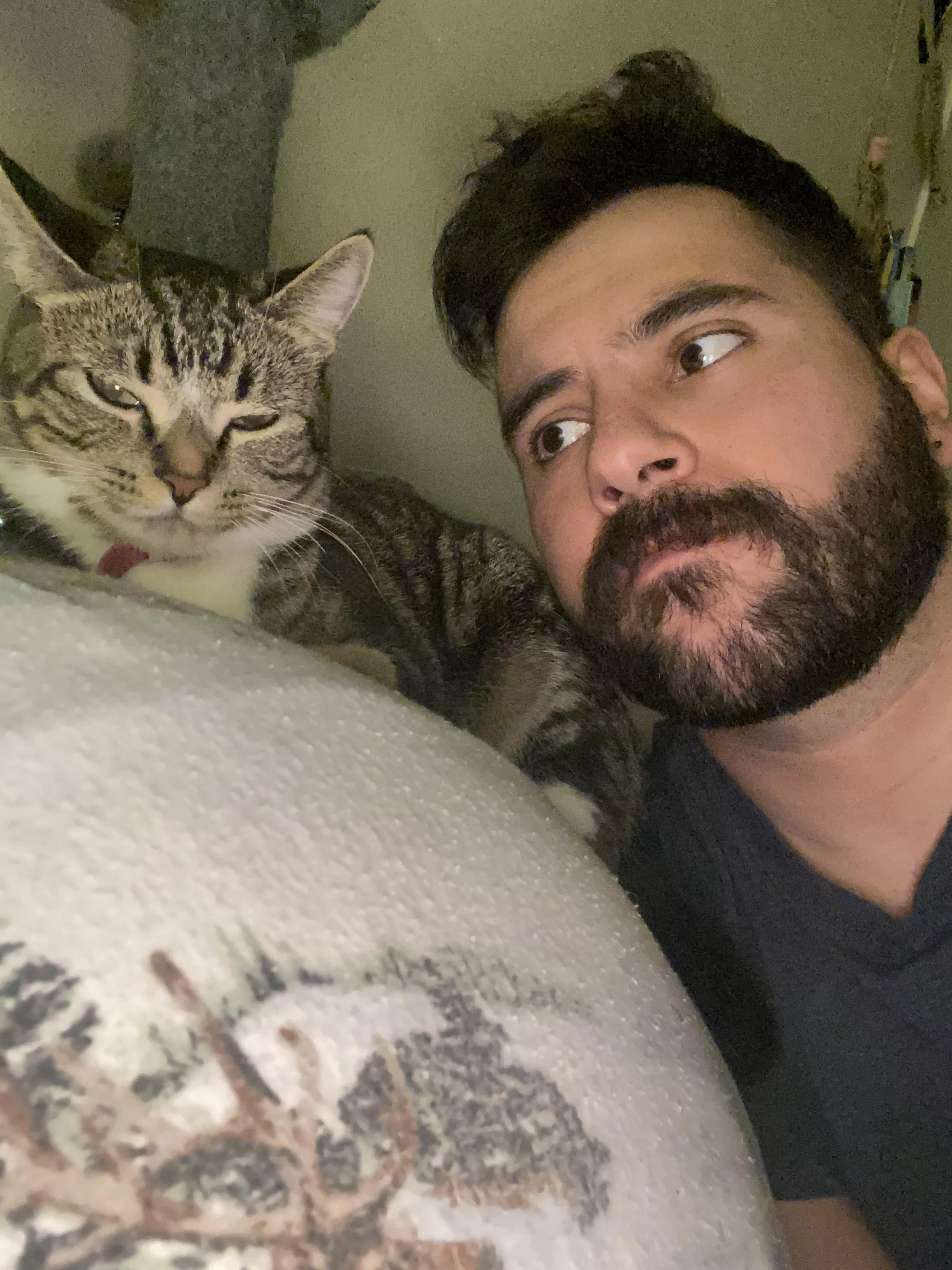 🐱👀❤️