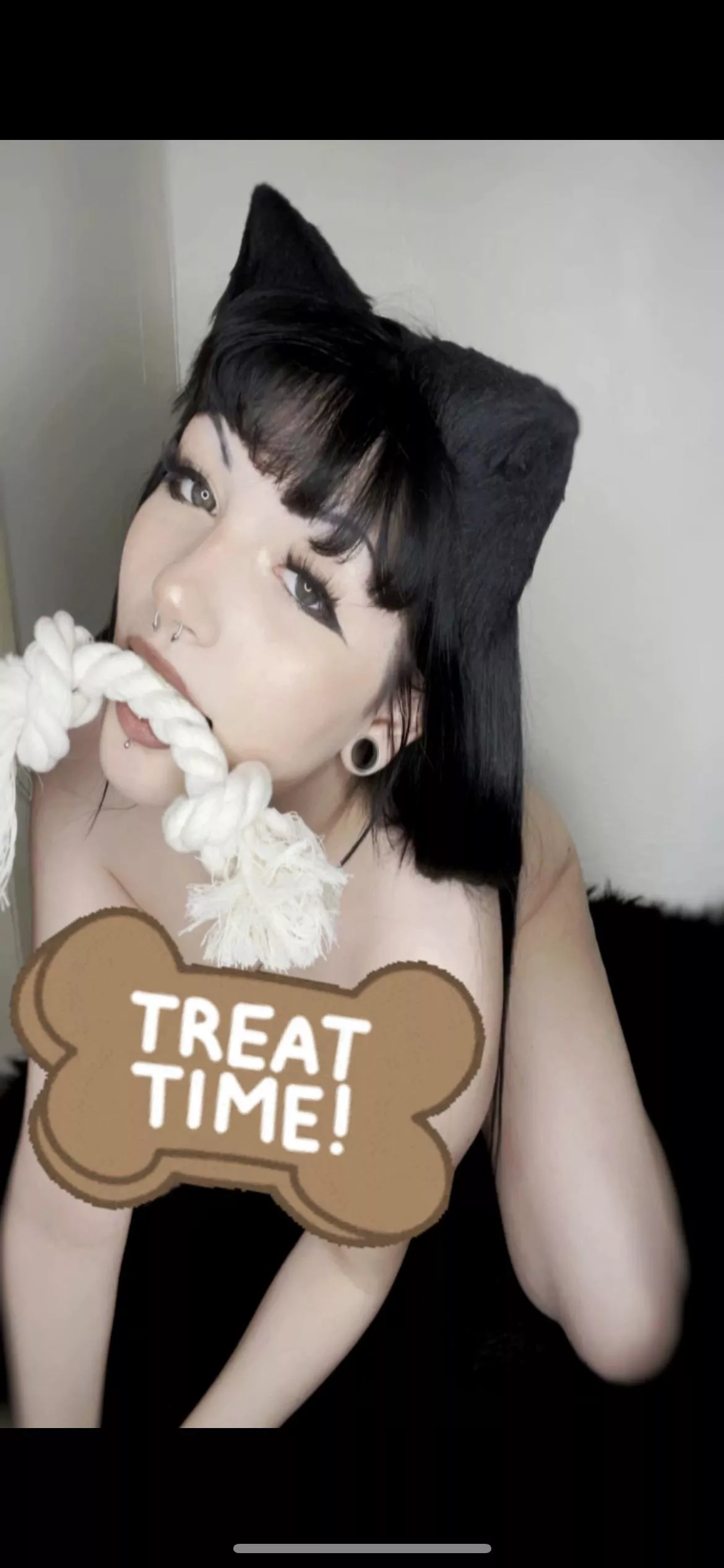 🐾🐾