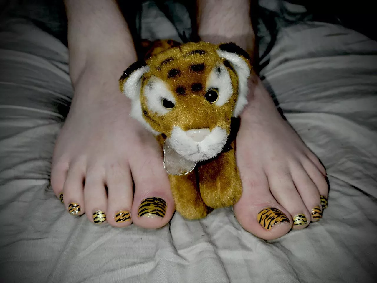 🐯