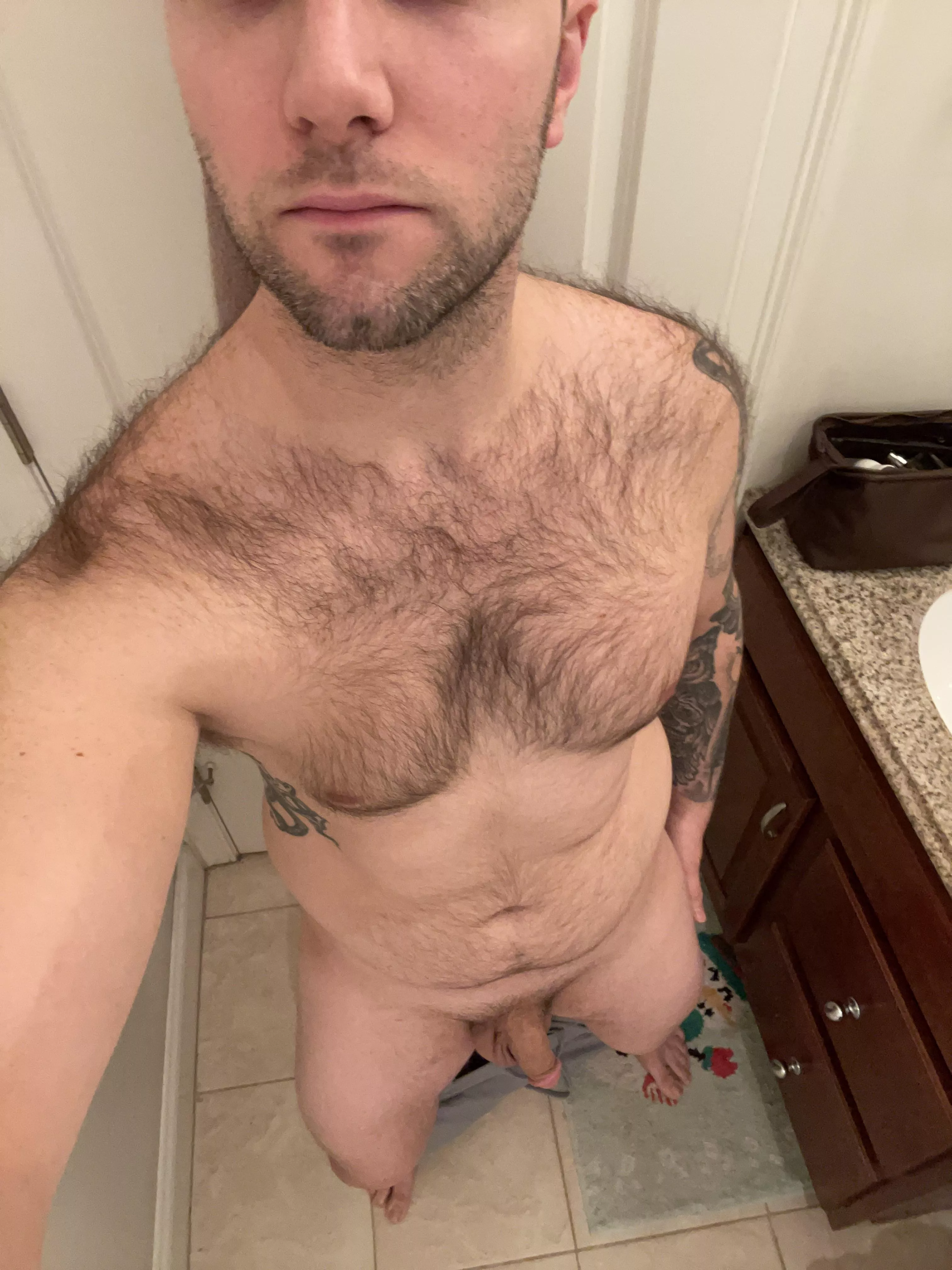🐻