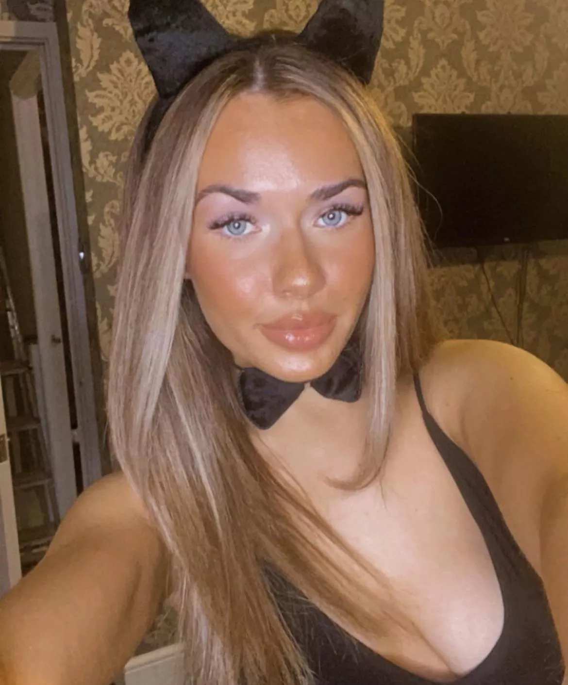 🐰