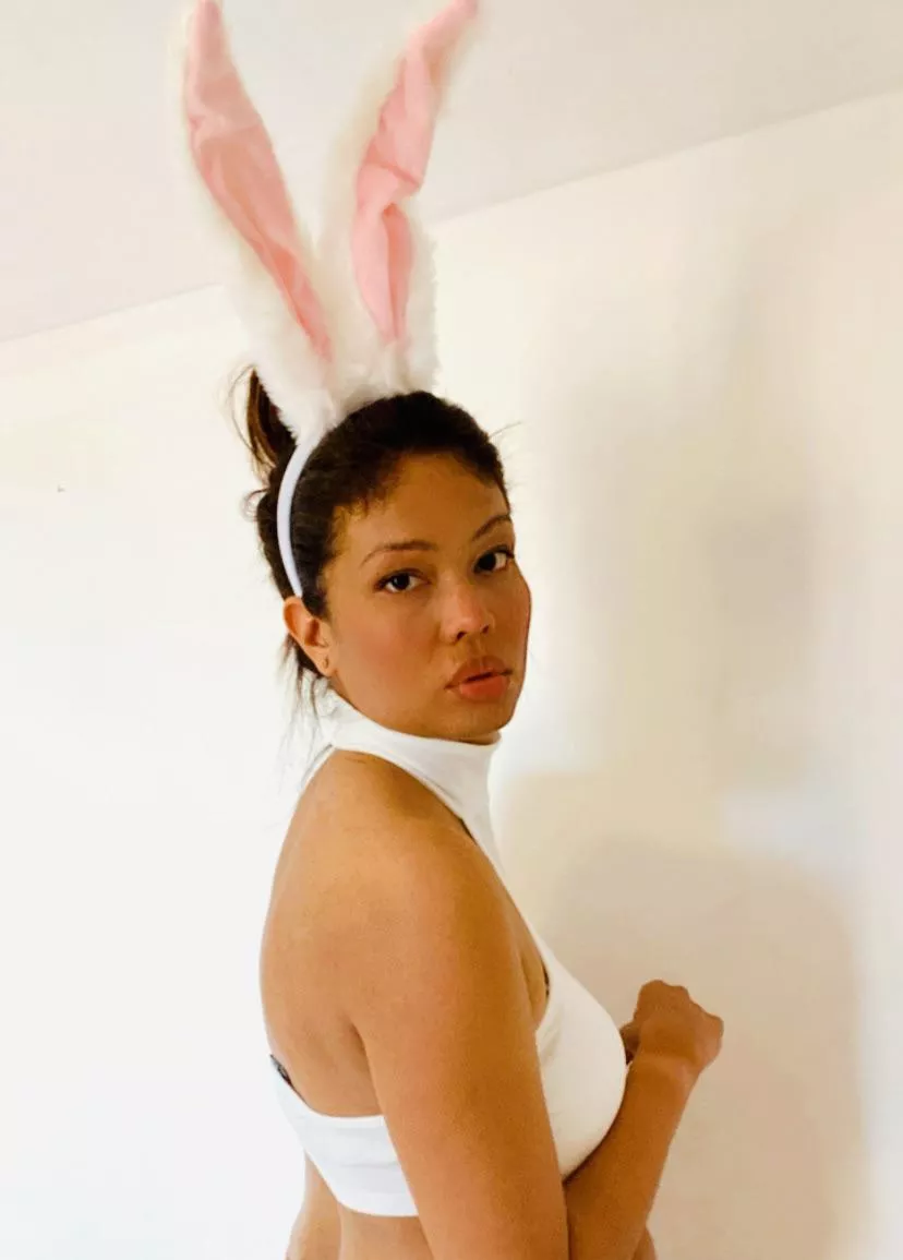 🐰