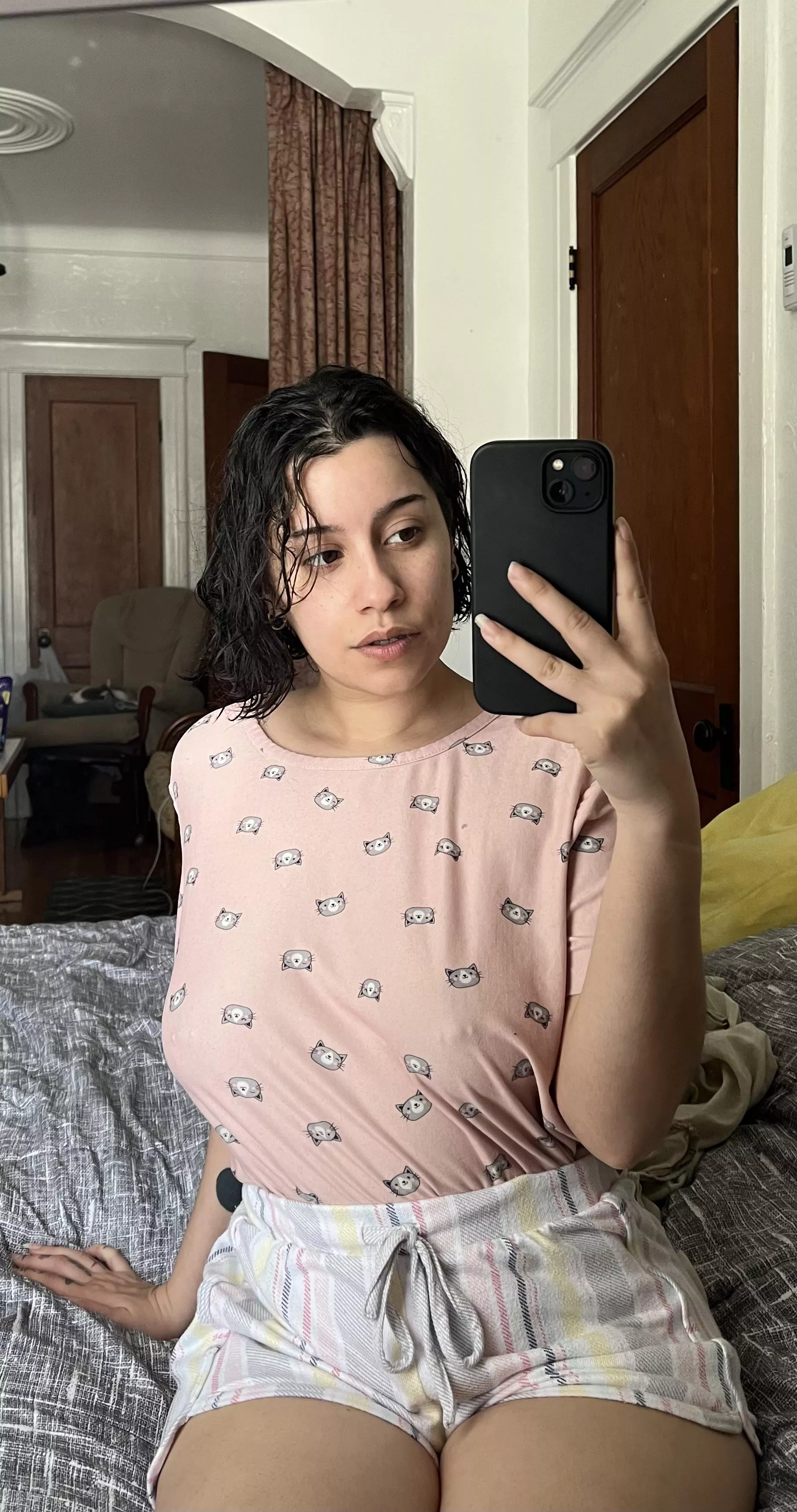 🐱🐱🐱