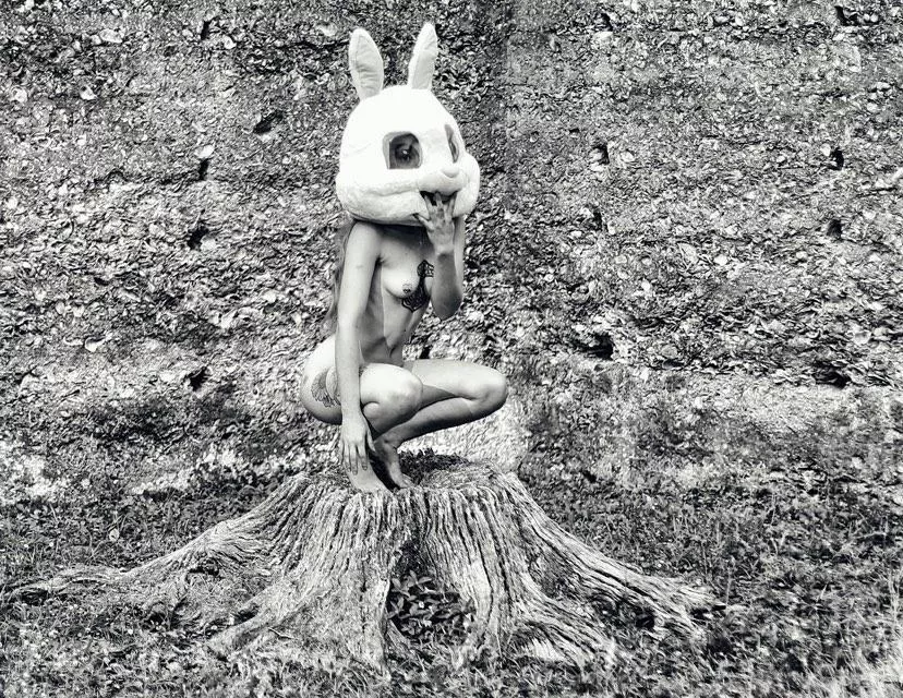 🖤🐰🖤