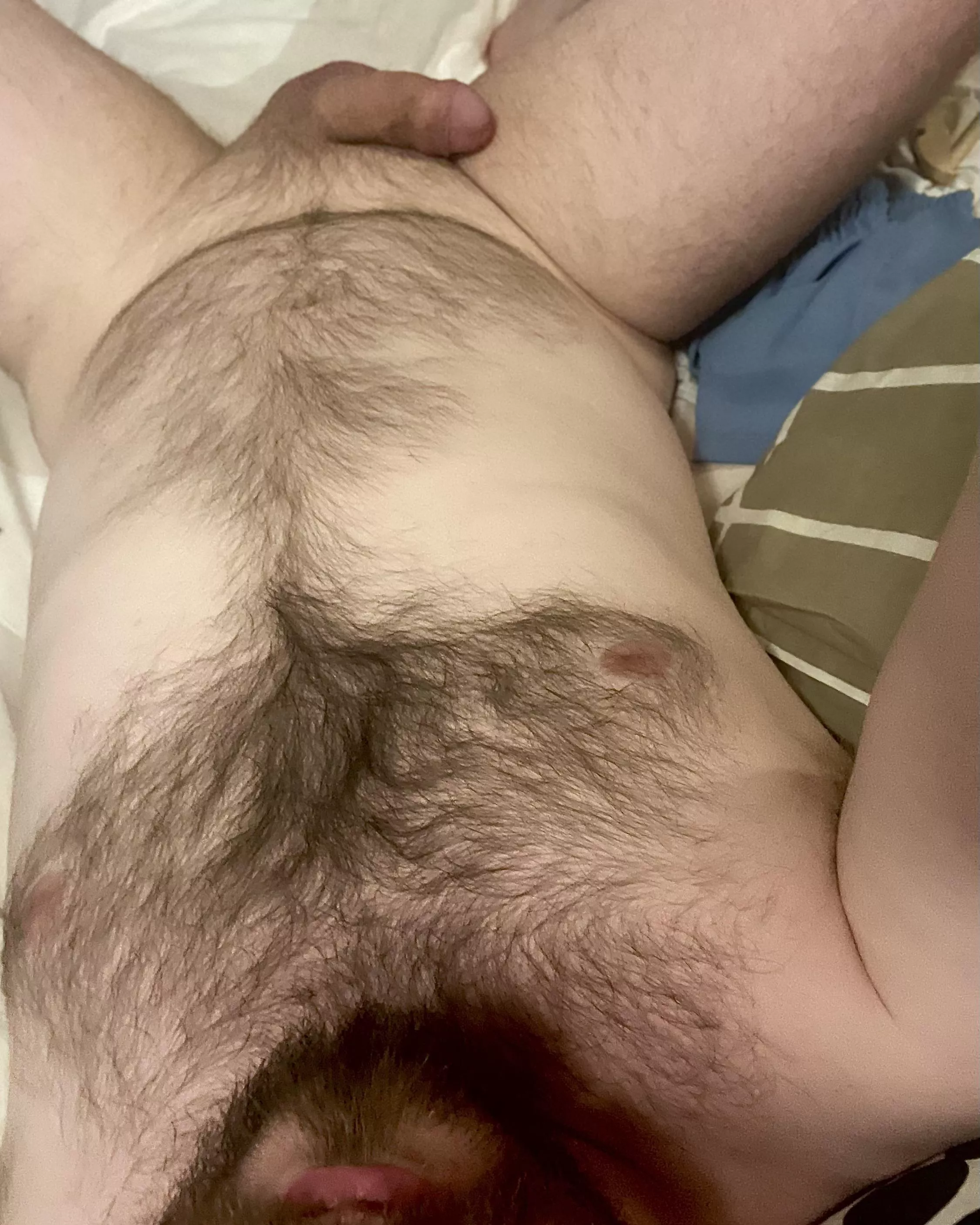 🐻