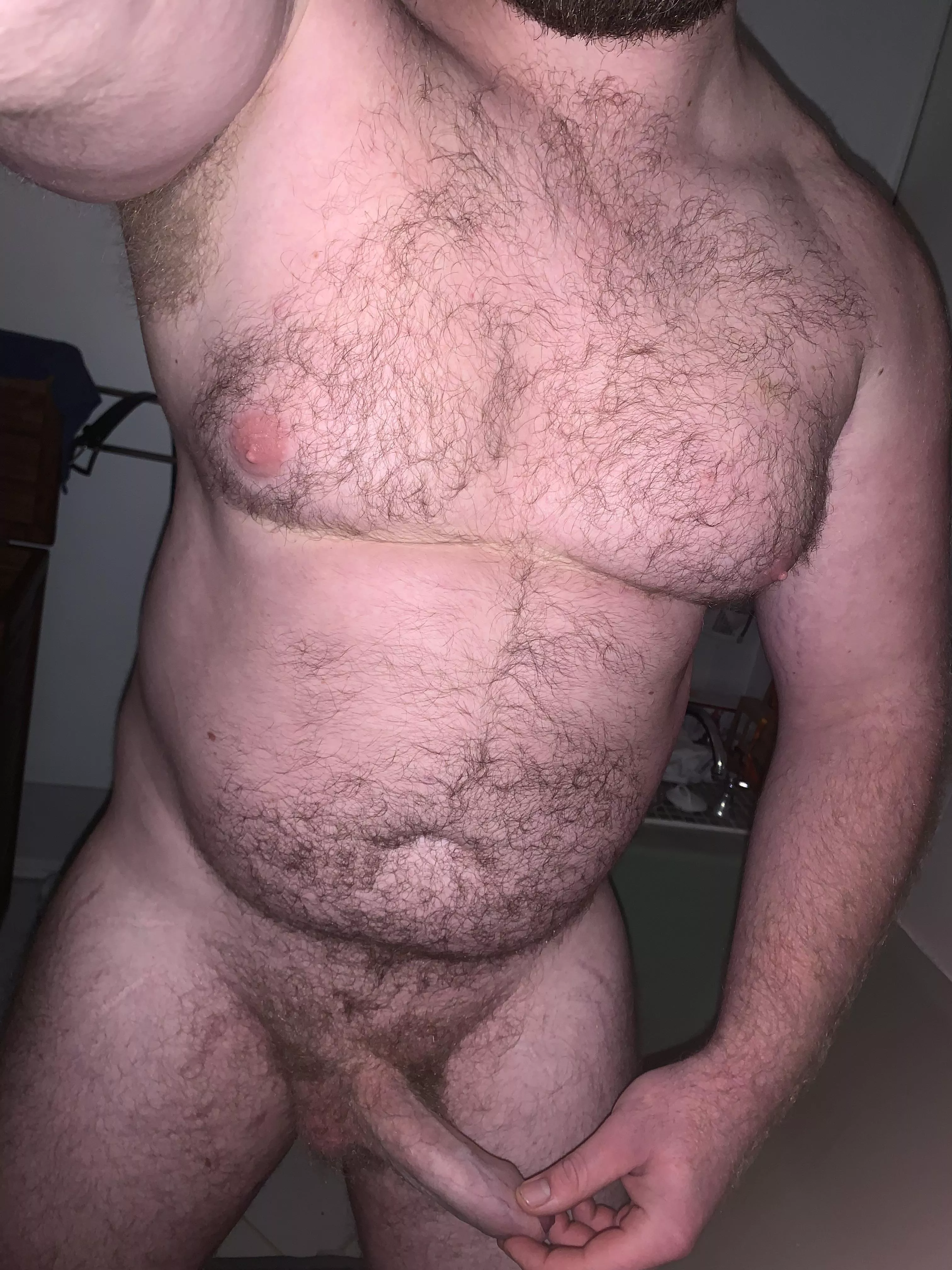 🐻🤳