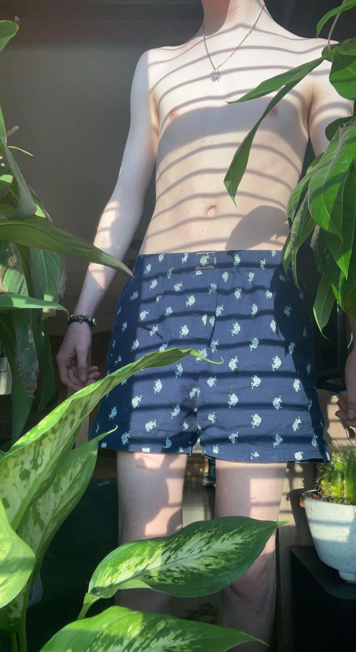 🍃🍃