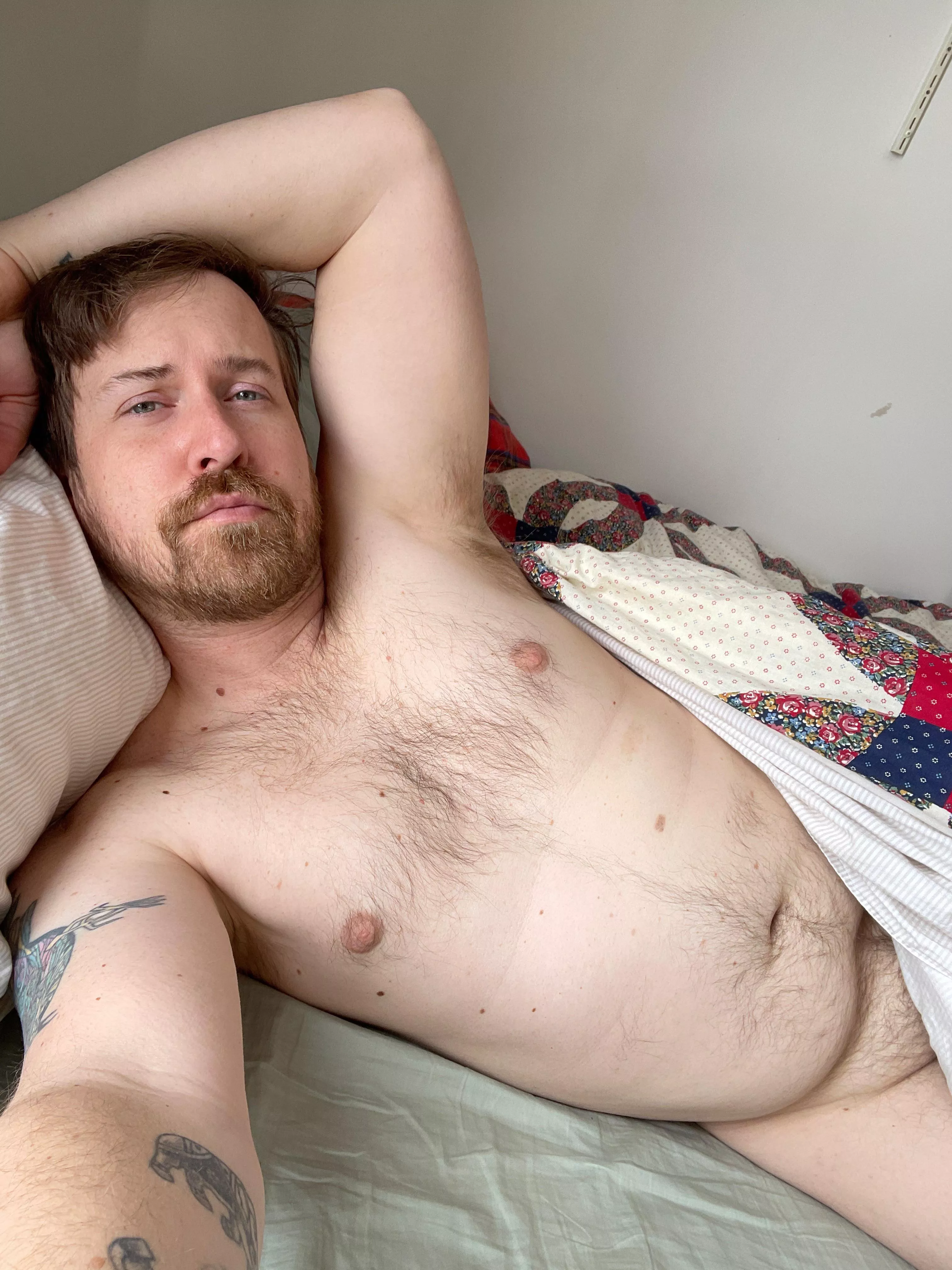 🐻