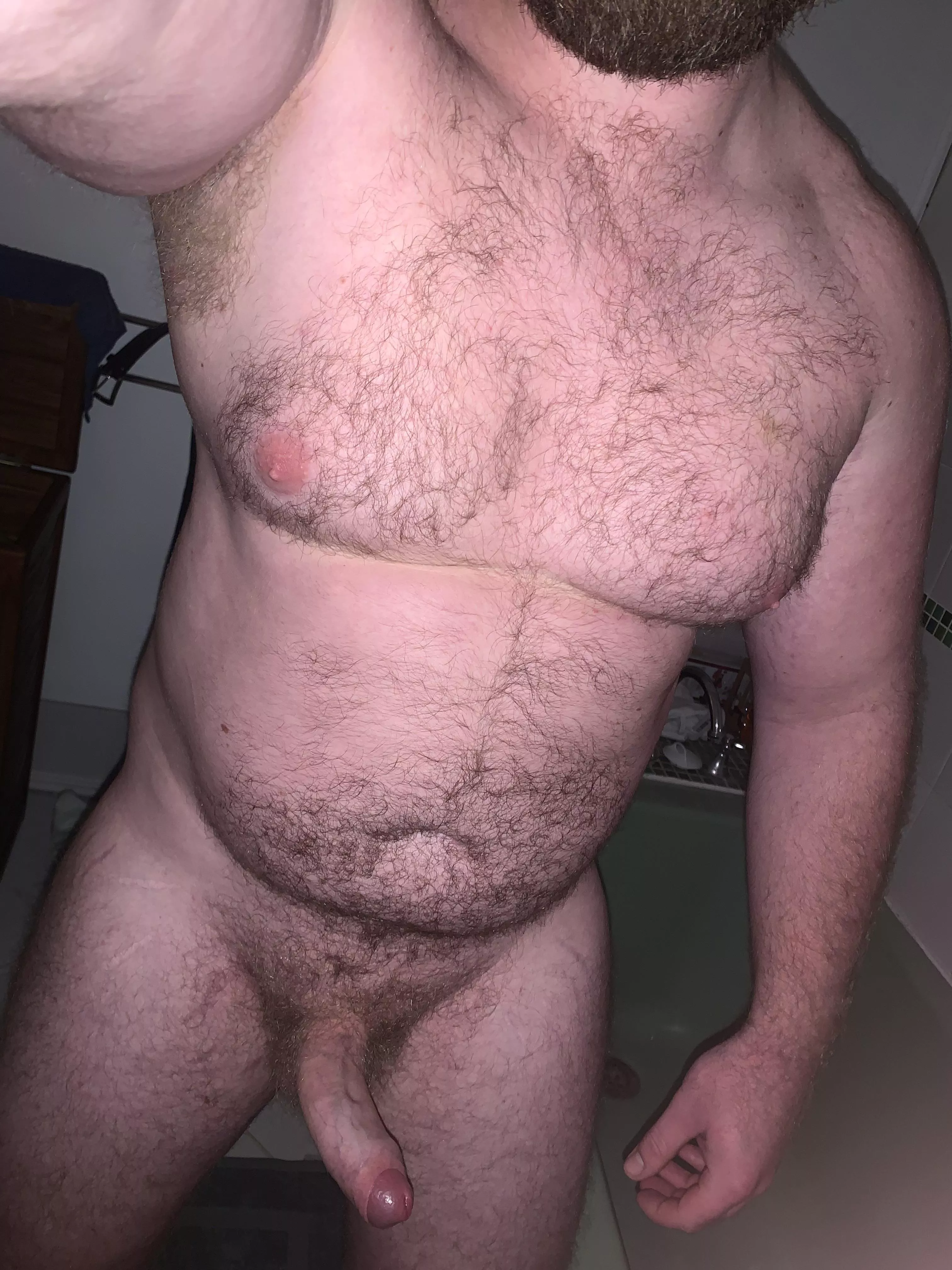 🐻🤳