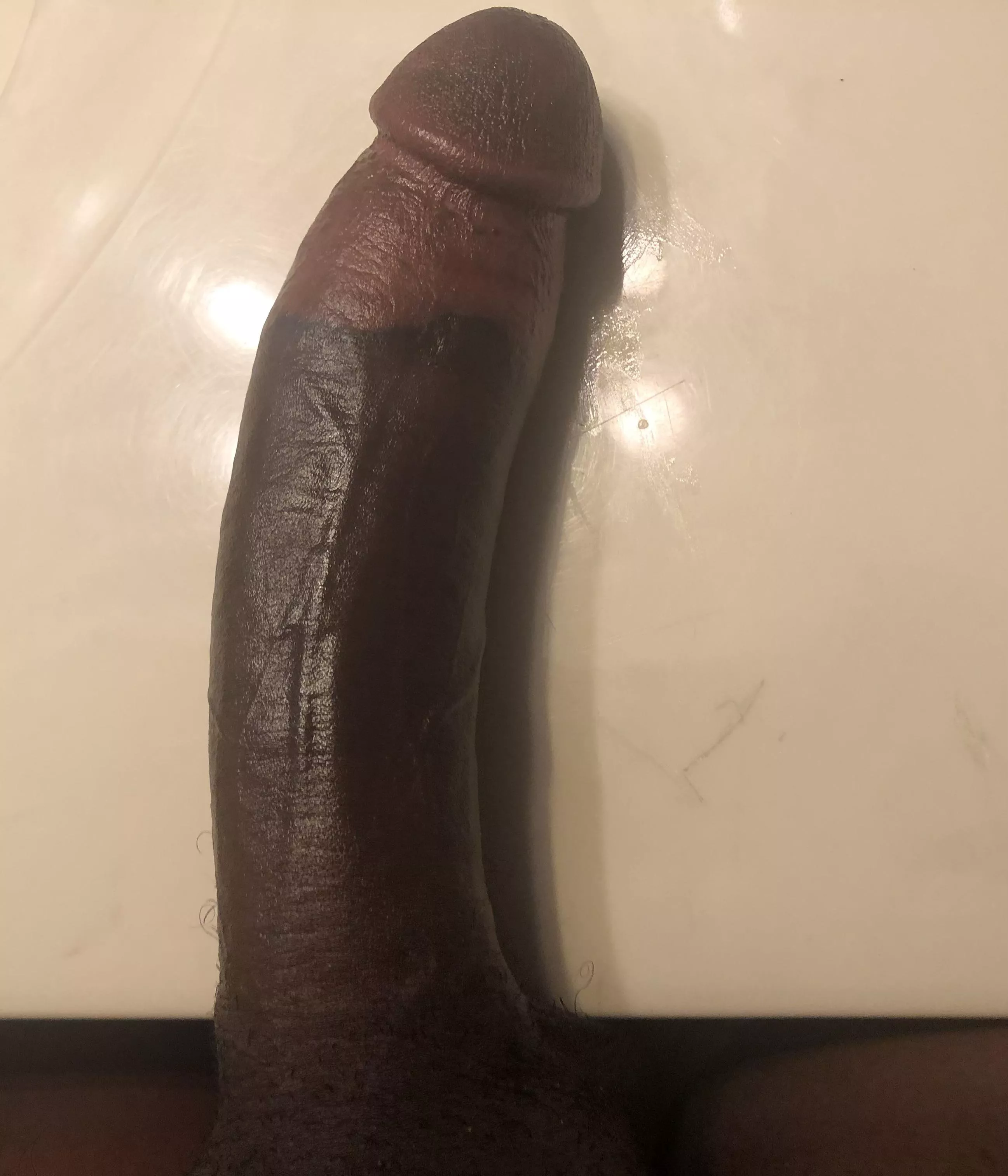 🍆🍆