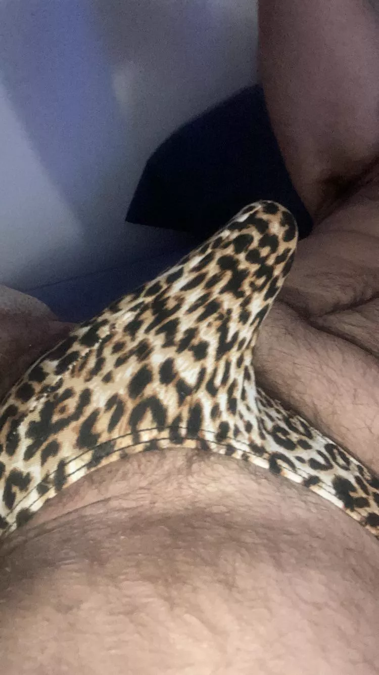 🐱