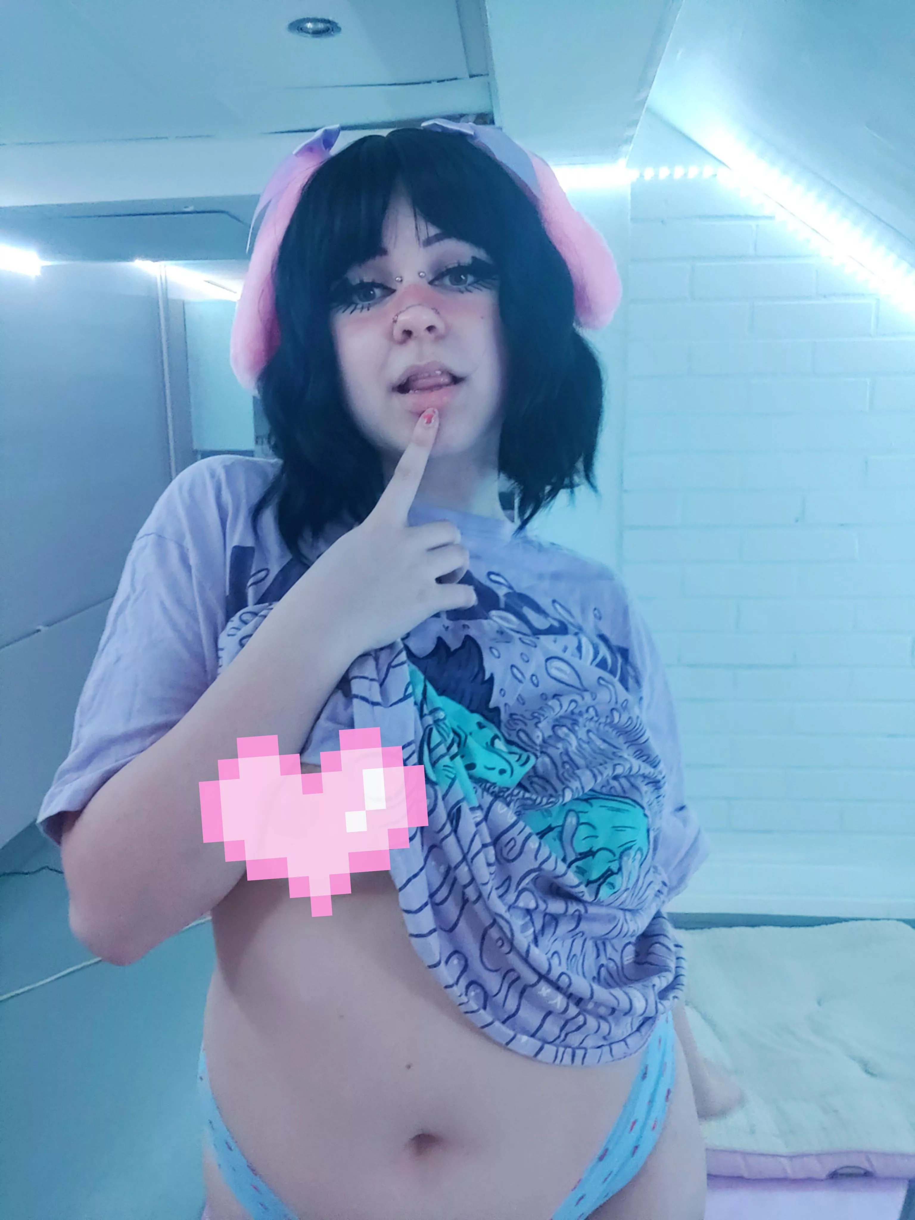 💗🐇💗