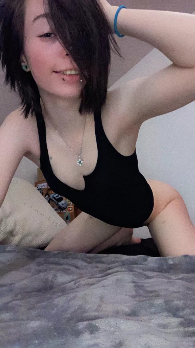 🌸18 & Petite🌸