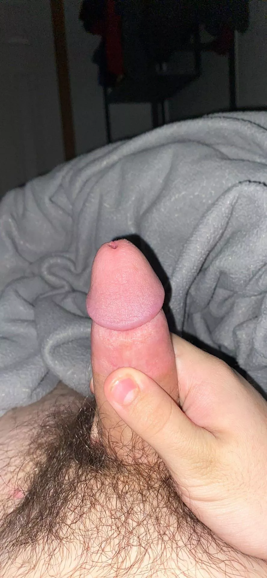 [18] wanna jerk together? shoot me a dm ;)