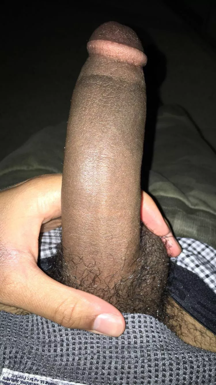 19m with a bbc looking for a superchub who’s super kinky (I want a bottom with bad hygiene, a constant shitty ass, smegma, etc) i only trade on snap and Insta. 19m with a bbc looking for a superchub who’s super kinky (I want a bottom with bad hygiene, a constant shitty ass, smegma, etc) i only trade on snap and Insta.