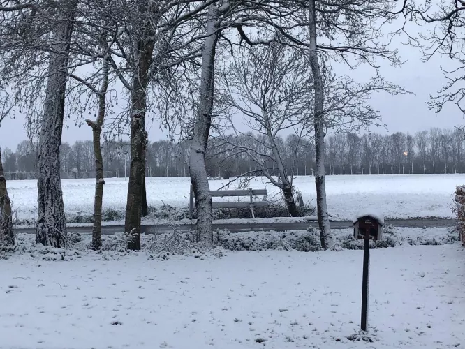 1st April should be spring in the Netherlands