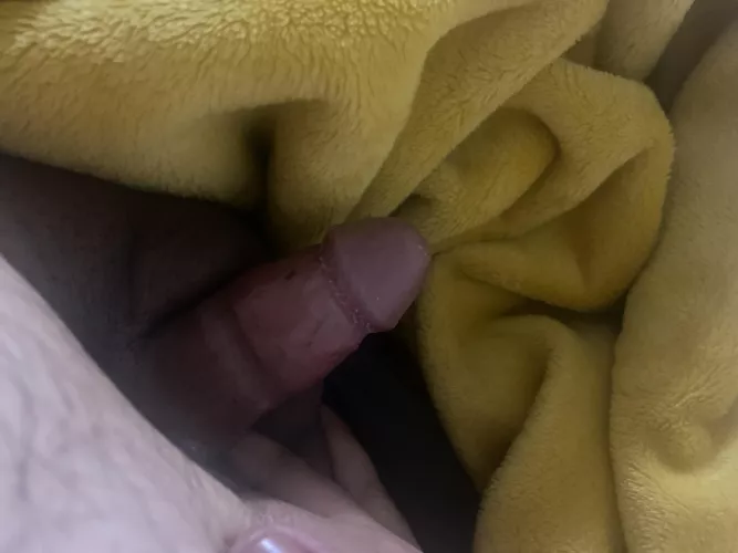 [22] woke up horny, play with me?