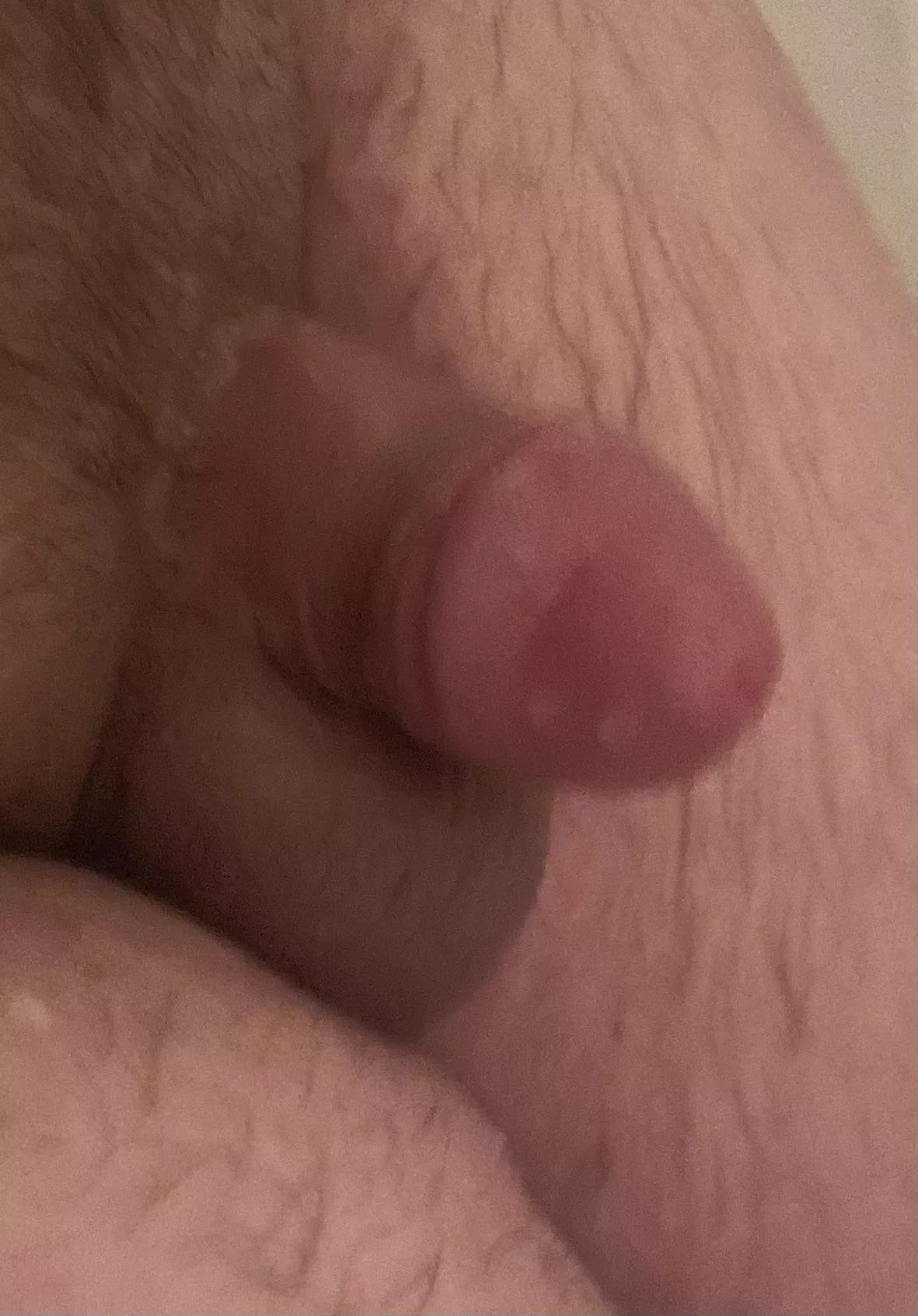 [23] 😂