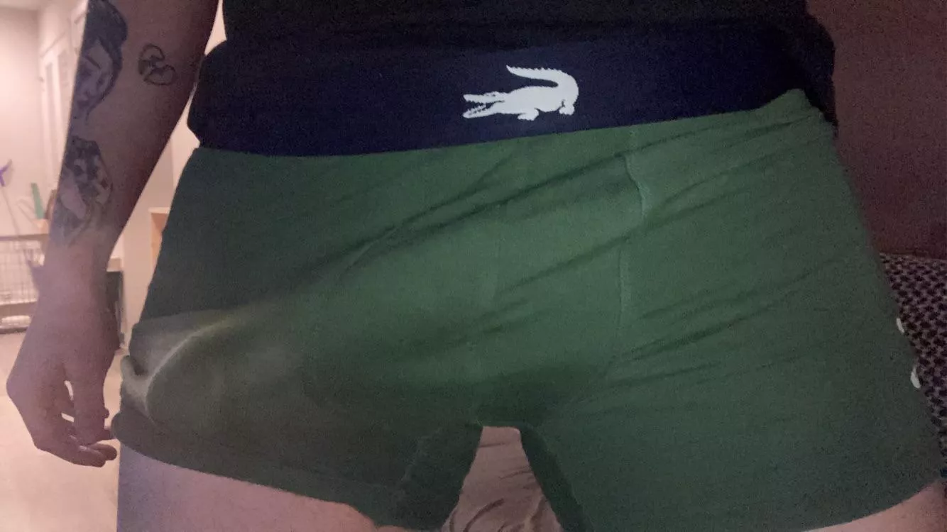 23yr old BWC bulge