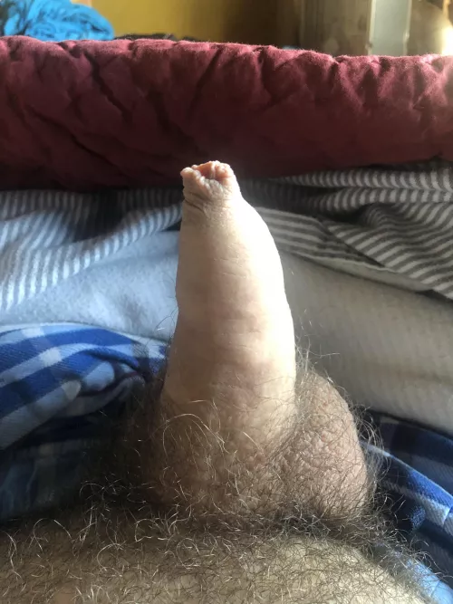 [24] How’s everyone doing today?