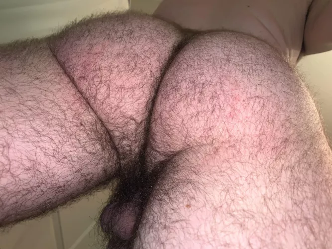 24 in shape bottom bro with a big furry ass. 😏 DM me or add my snap: FurryBass