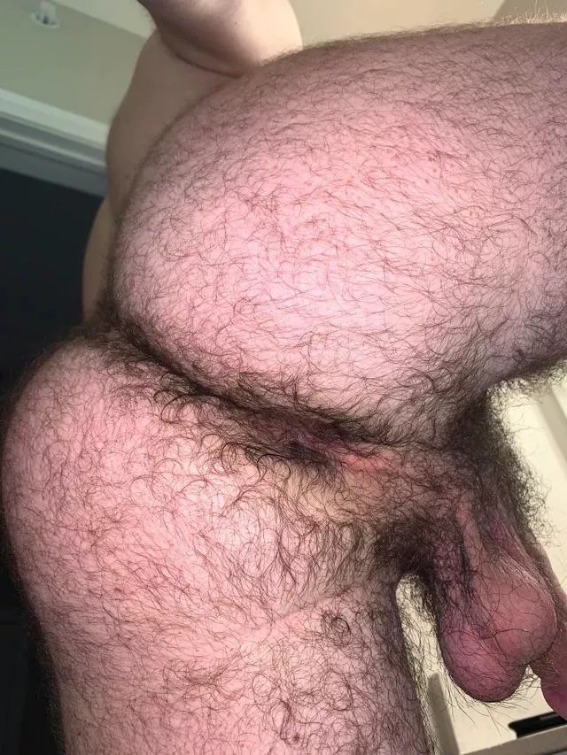 24 in shape bottom bro with a tight furry ass. 😈DM me