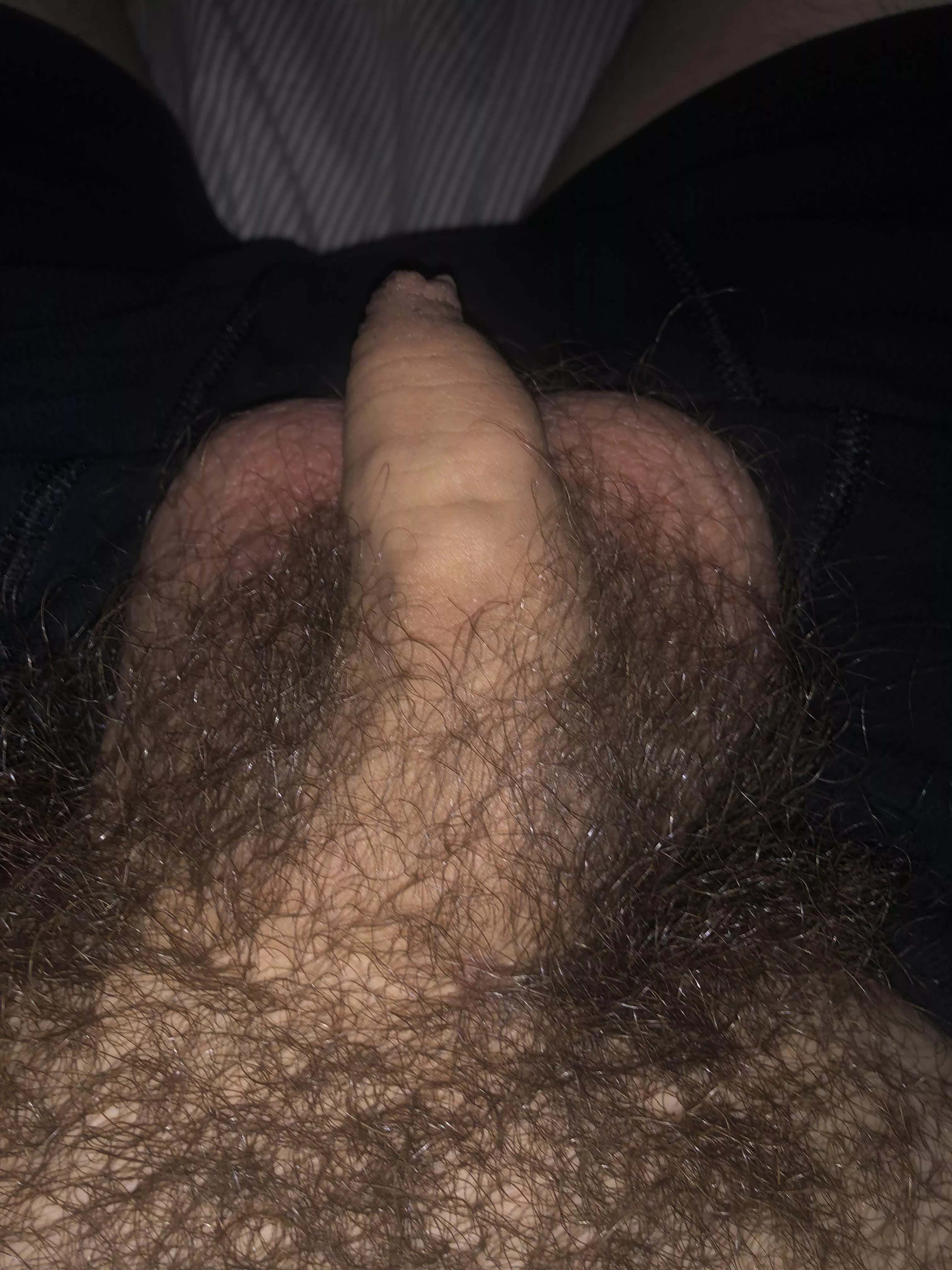 [24] lazy night