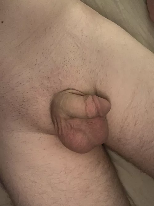 [25] isn’t it cute??