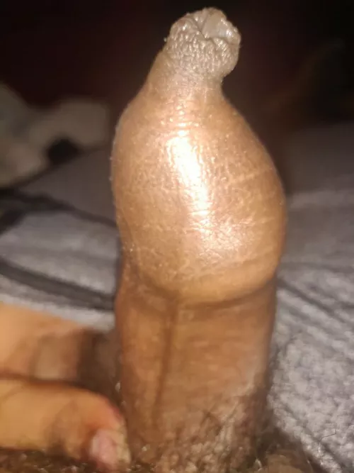 [26] small uncut