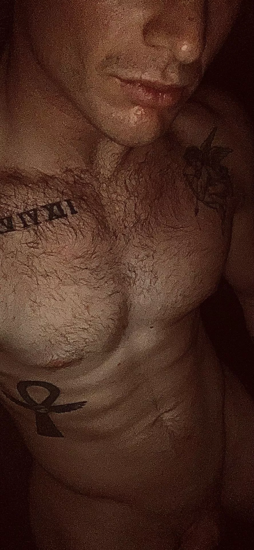 26M experienced bull in Raleigh, NC for hotwife or mfm
