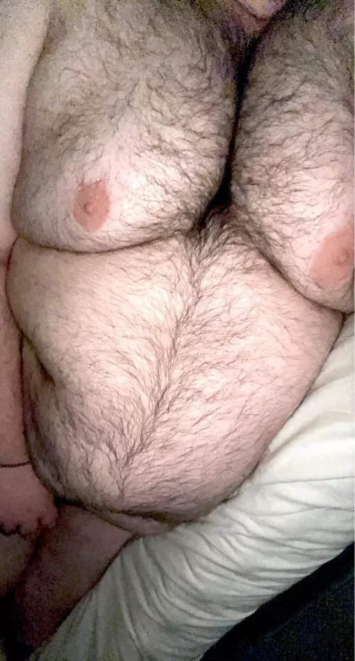 27M - Gay hairy chub, with big tits. Kinky ✅ DMs Open ✅💬