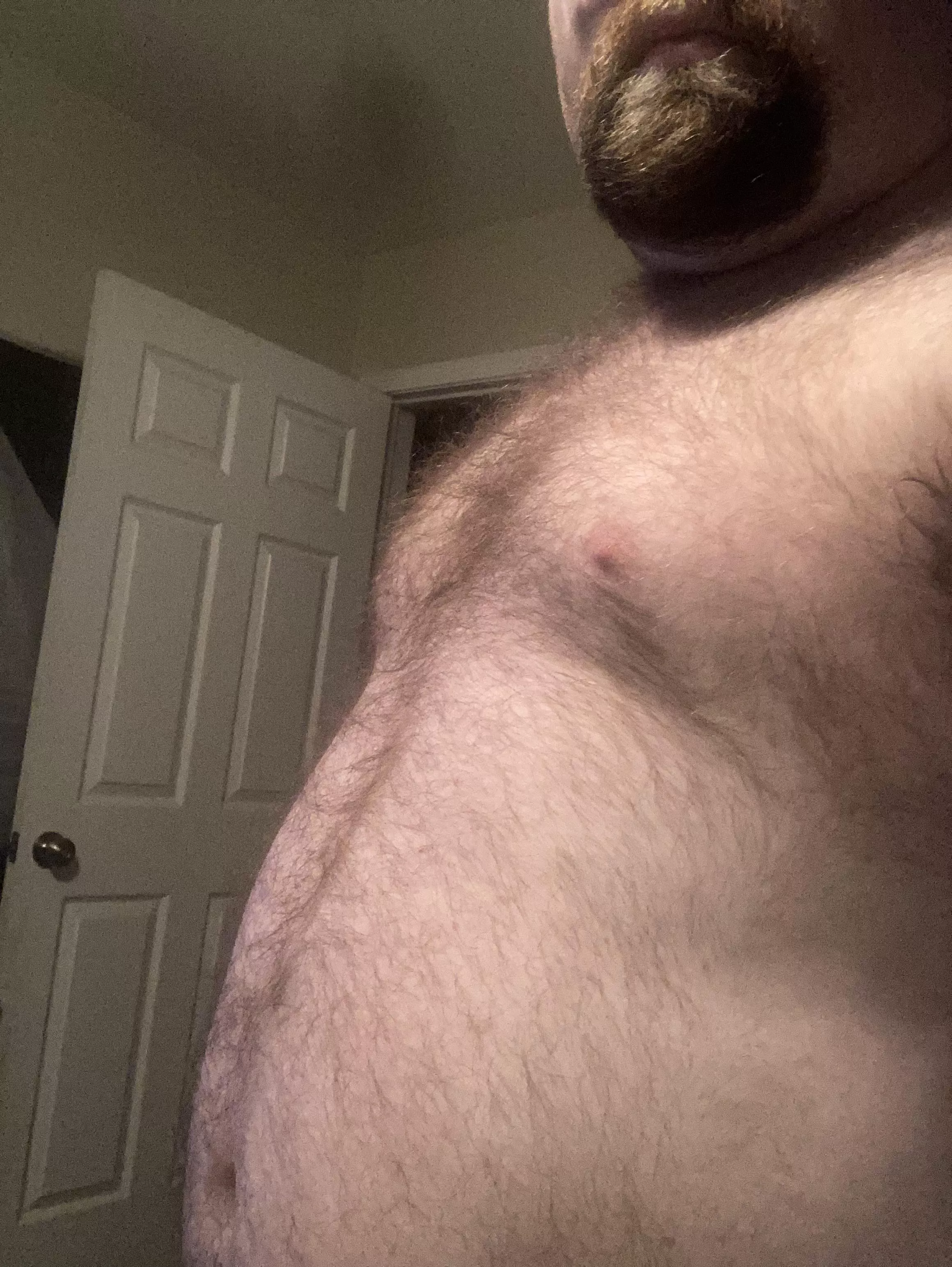 28, roughly 230+