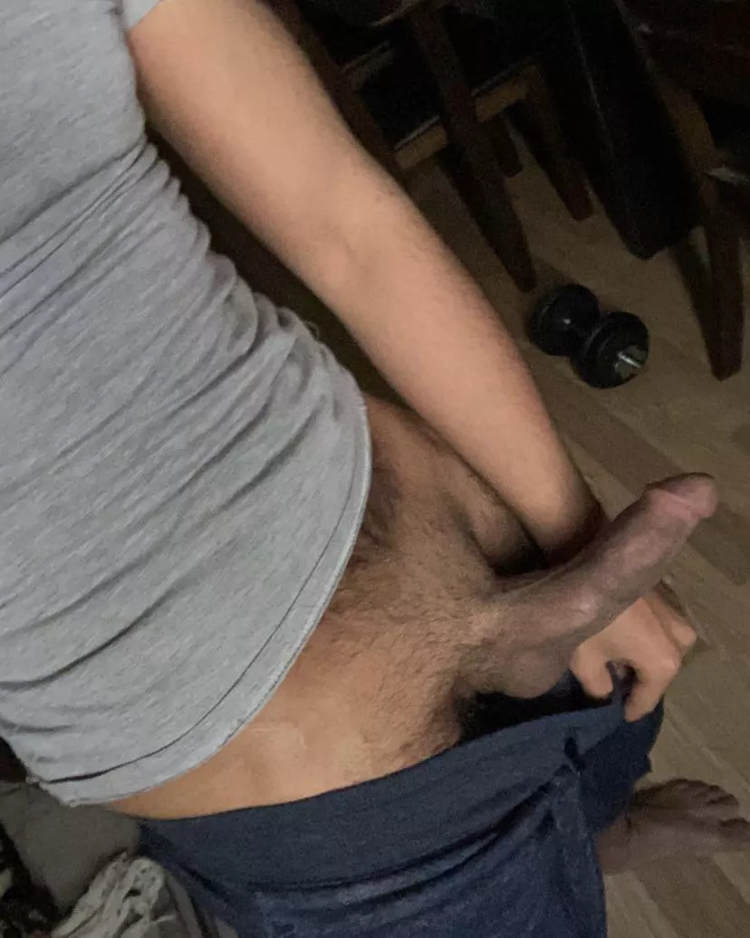 29 dom top