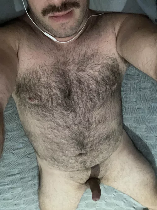 30 Aussie bi and I have 2 spots for you to sit! Let me know what you think, DM’s open