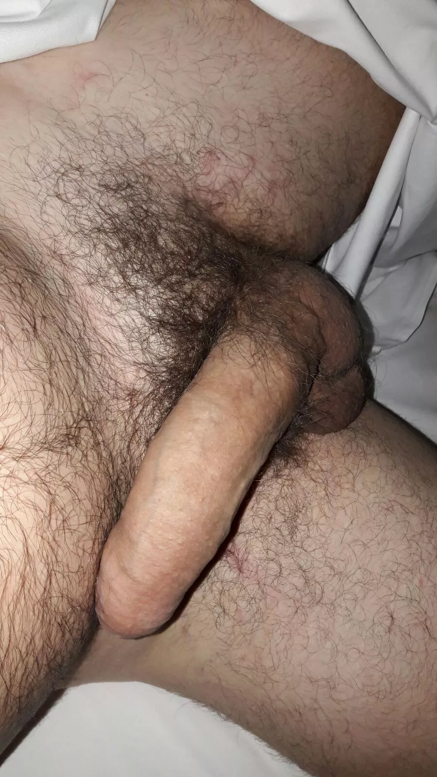 30, Gay, with a bush. ☺️ Looking for the same. Be under 35 and show me. No empty profiles. 🎉
