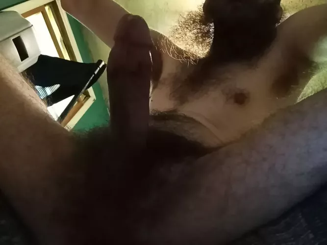 30. I'm looking to be sniffed and pigged out on. Dms open.