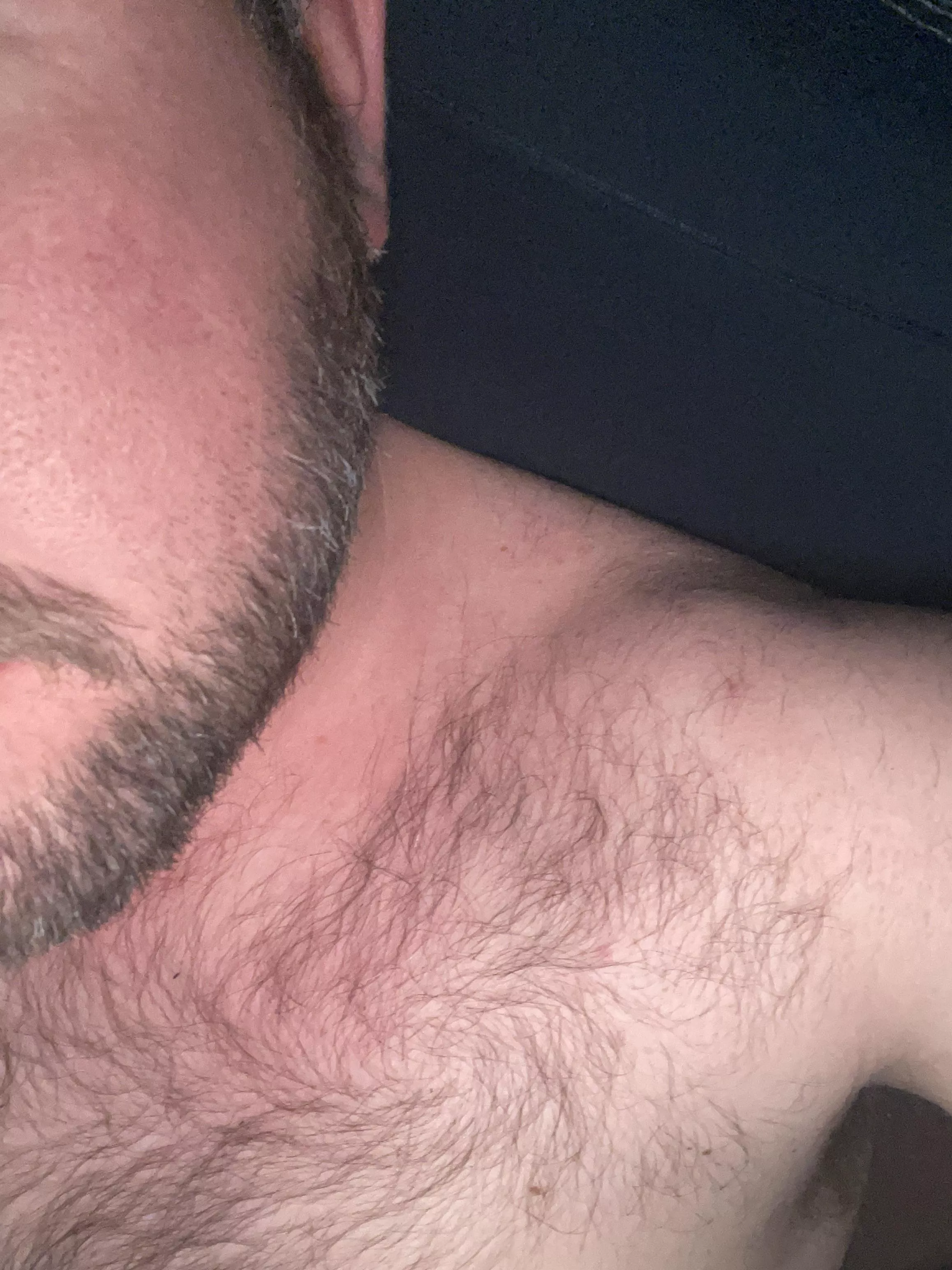 31 M TN