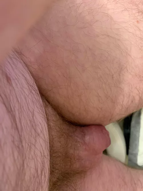 [36] bottom uncut daddy for degradation. PMs open.