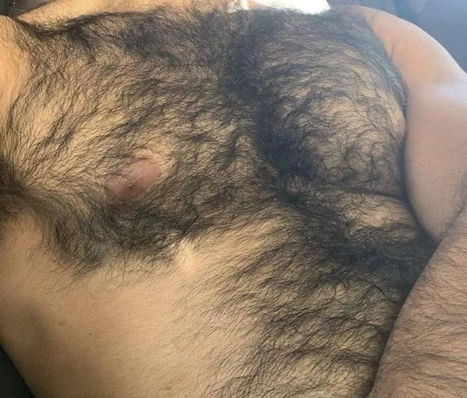 36 @hairyguyhere3
