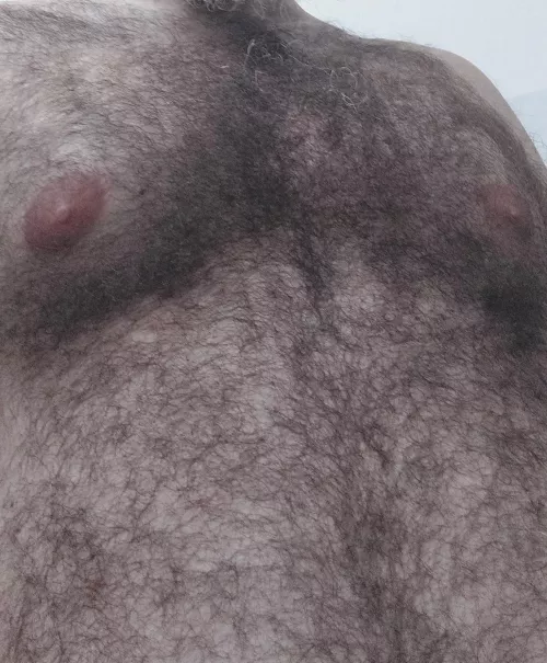 (37) do I have more hair than you?