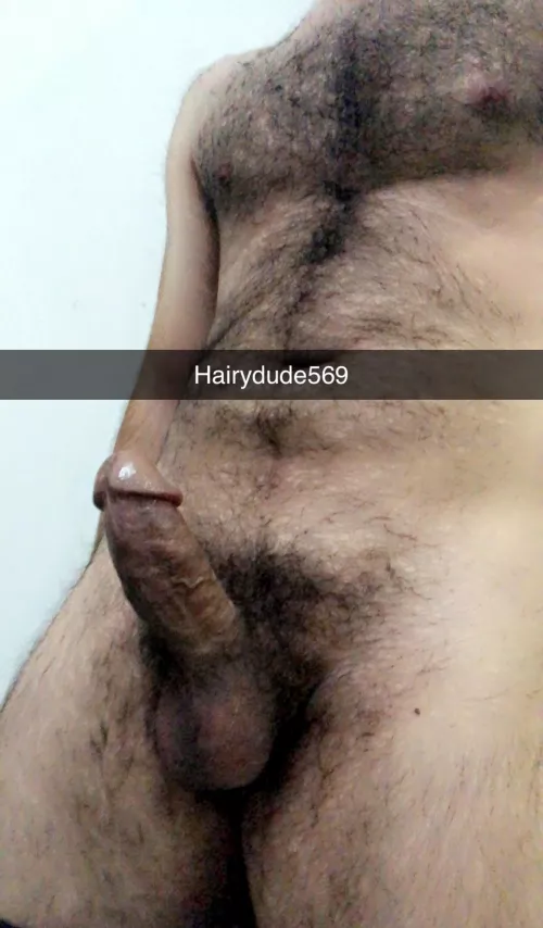 50 hairy married bull